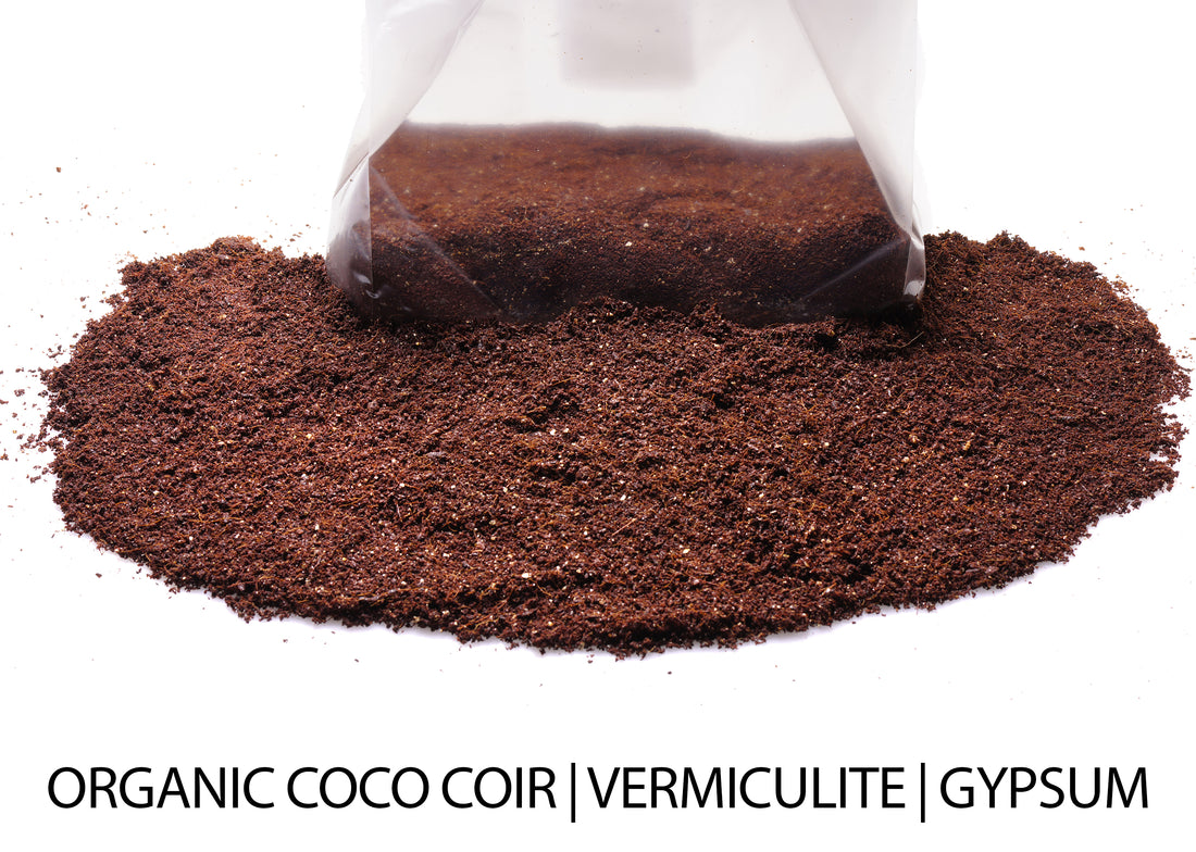 Pasteurized CVG Mushroom Substrate