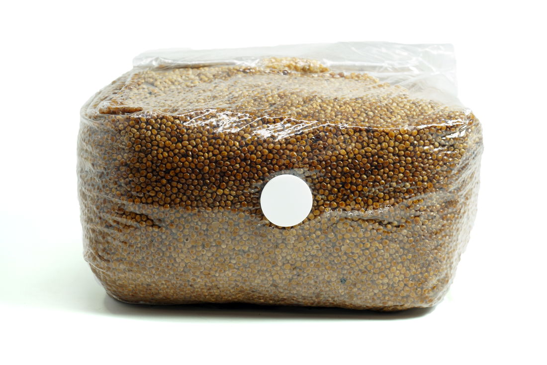 High-Quality Sterilized Millet Grain Bag for Mushroom Spawn