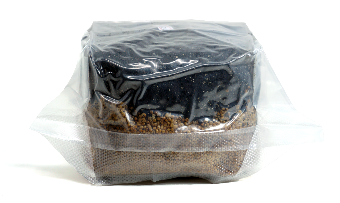all in one mushroom grow bag with injection port