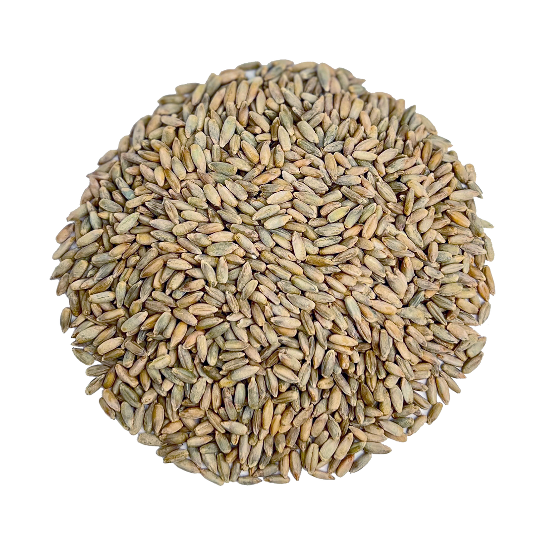 organic rye berries