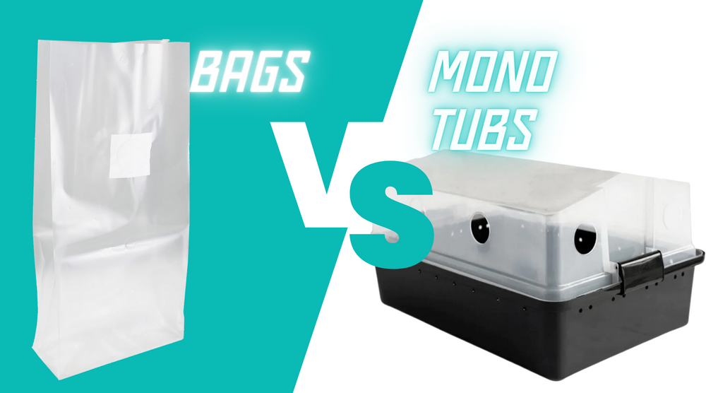 Unlocking the Potential of Mushroom Grow Bags A Superior Alternative