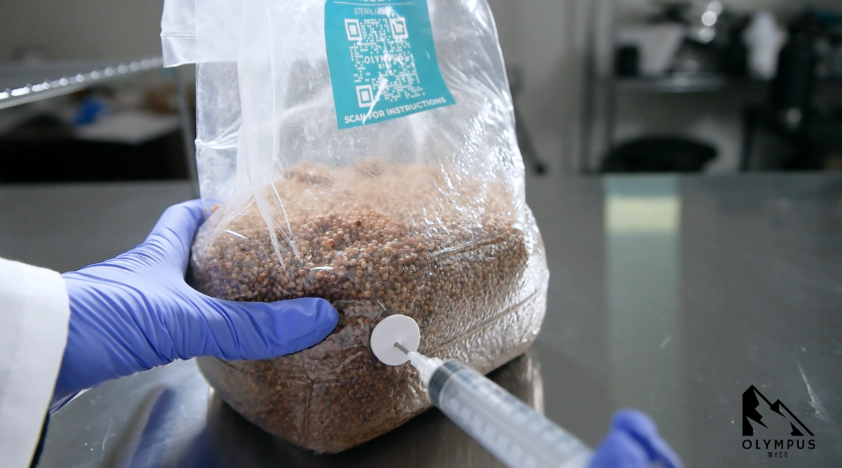 Comparing Spore Syringes and Liquid Culture in Mushroom Cultivation